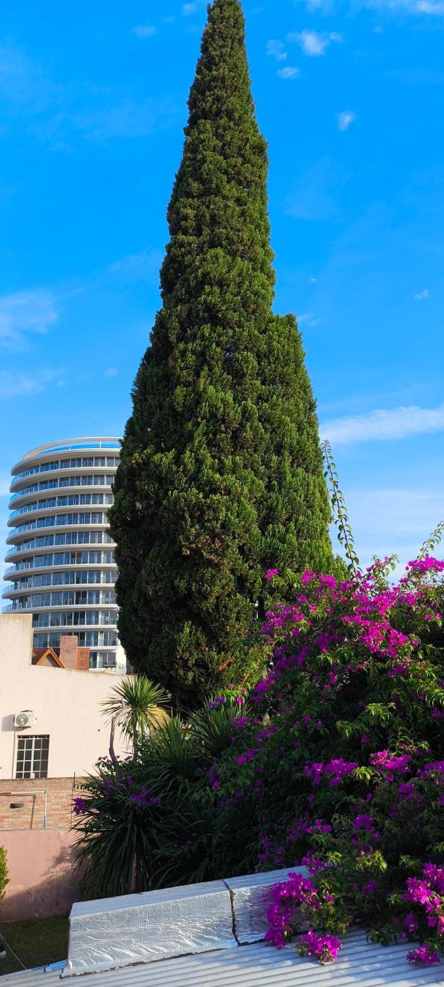 Centro II Daire Venado Tuerto Dış mekan fotoğraf